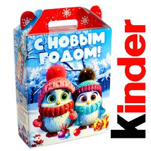 Детский подарок на Новый Год в жестяной упаковке весом 830 грамм по цене 3297 руб в Дербенте